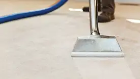 Carpet cleaning wand head gliding over a light carpet during hot-water extraction, Orlando, FL.