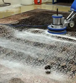 Professional rug cleaning with a rotary floor machine and shampoo foam, deep-cleaning an area rug Orlando, FL.